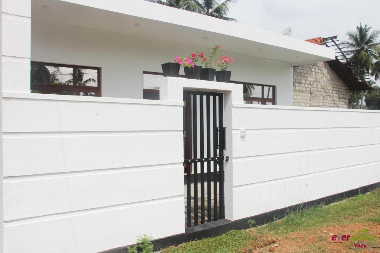 Ever Green Villa Negombo Ngoại thất bức ảnh